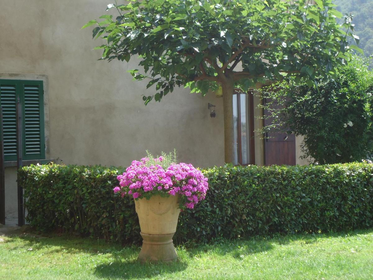 Villa Di Papiano サン・バロント エクステリア 写真
