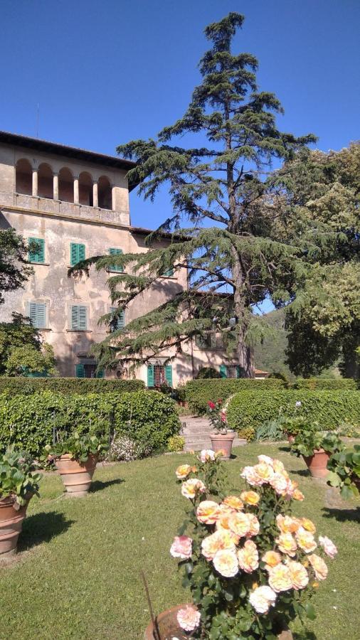 Villa Di Papiano サン・バロント エクステリア 写真
