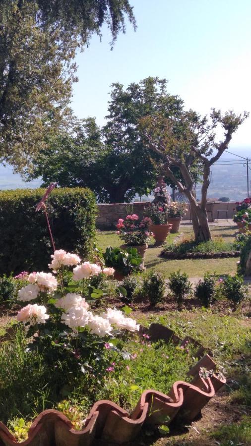 Villa Di Papiano サン・バロント エクステリア 写真